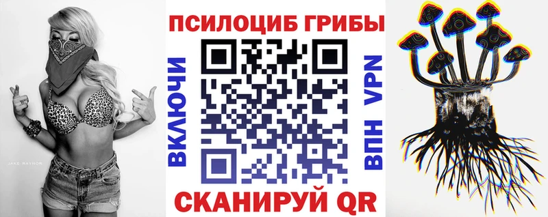 магазин  наркотиков  Щигры  Галлюциногенные грибы Psilocybine cubensis 